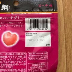 忍者めし　鋼のメンタルの画像