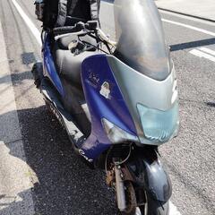 マジェスティ125の画像