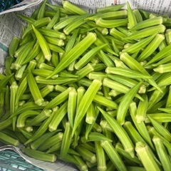 朝採りオクラ✨約7cm〜約10cmの画像