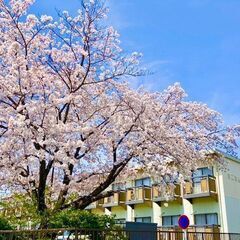 ご入居者様ご紹介ください！