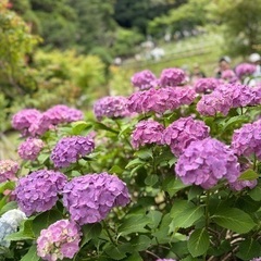 主婦友達募集🙌🌸 - 品川区