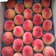 小牧しのおかの桃　はなよめ　28個入1箱　税込3000円