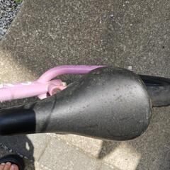 ︎🌟ストライダー︎🌟の画像
