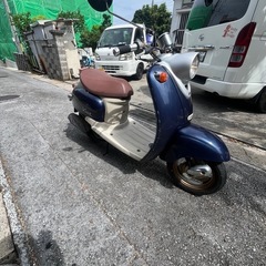 2ストビーノの画像