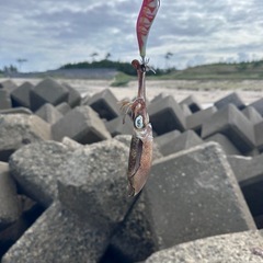捌く(下手)、食べるが好きで釣りをしてます笑 − 石川県
