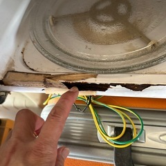 アイリスオオヤマ　電子レンジの画像