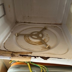 アイリスオオヤマ　電子レンジの画像