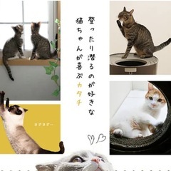 ◆アイリスオーヤマ 上から猫トイレ＊システムタイプ◆未使用◆キレイ 