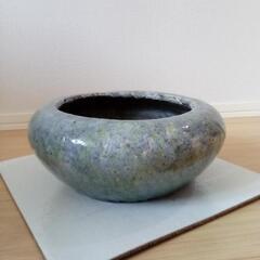 観葉植物用　鉢