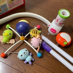 メリーの画像