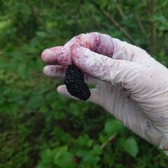 30〜40代活躍中／食品業界／決算賞与あり！ まずはページをチェックしてみてください。の画像
