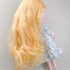 Blythe ネオブライス ファニフラミンゴ バカンスワンピース ドール 札幌市北区屯田の画像