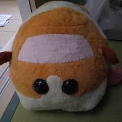 モルカー大の画像
