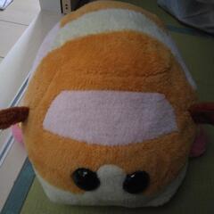 モルカー大の画像