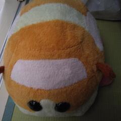 モルカー大