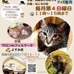 【6/22(日)開催】高槻・保護猫の譲渡会＆チャリティーグ…