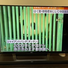 2013年製の液晶テレビ47型