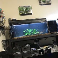 コトブキ　900 ワイド水槽