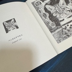 槇下　晶　作品鑑賞の手引きの画像