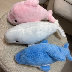 【美品】イルカ ぬいぐるみ 3点セットの画像