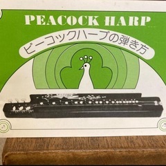 大正琴の画像