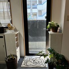 大阪市内で一緒に訪問看護しませんか？の画像