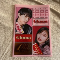 吉沢亮　Ghana クリアファイル