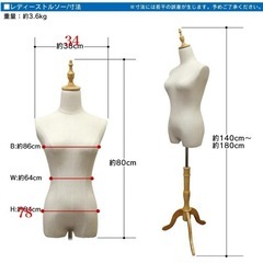 【中古品】トルソー　マネキン　女性タイプ