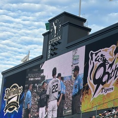 姫路付近の阪神タイガースファン探してます