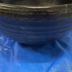 睡蓮鉢の画像