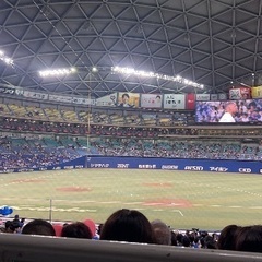 プロ野球見よう！！