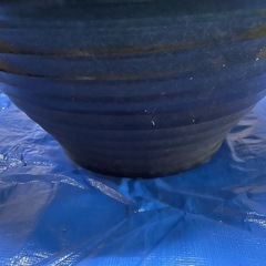 睡蓮鉢の画像