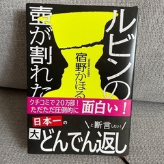 ルビンの壺が割れた　　宿野かほる