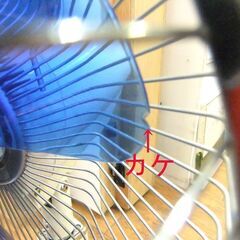 昭和レトロ 扇風機 東芝 4枚羽 ブルー 羽根径 30cm H-30TP 中古 TOSHIBA 札幌市厚別区 厚別店の画像