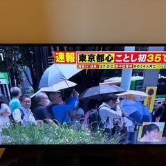 テレビ