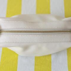 【新品】ZARA♡ポーチ　インナーバッグの画像