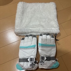 スノボ スキー グローヴ、ネックウォーマーセット