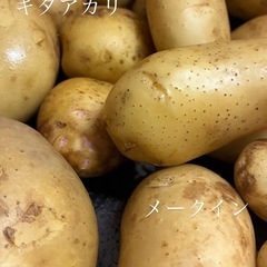 ジャガイモ　農薬なし新じゃが　メークイン　キタアカリ　新居浜産　