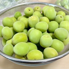 【取引中】青梅　2kg    無農薬　6/18収穫　C 