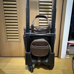時間限定値下げ🕰️キャリーバック　レインカバー付きの画像