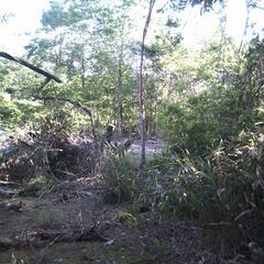🌟伊賀市槇山・９５，８坪・売土地・キャンプ地にいいかも・売主により仲介手数料不要 - 土地販売/土地売買