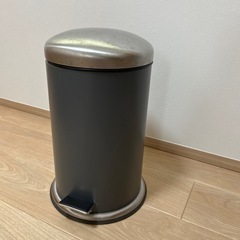 ゴミ箱　ステンレスの画像