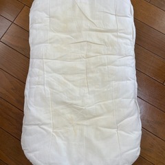 トッポンチーノ　の画像