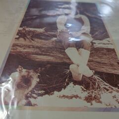 （中古LPレコード）夢の人−イルカ（2）