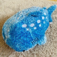 海遊館 ジンベエザメ ぬいぐるみ 