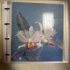 色紙 絵 書画 の画像