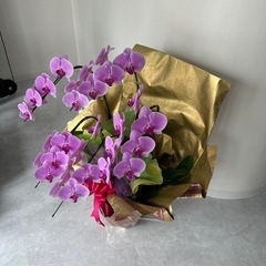 【早い者勝ち！！】【お祝い】胡蝶蘭の画像