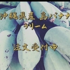 沖縄県無農薬 新鮮な緑色のバナナ 1kg