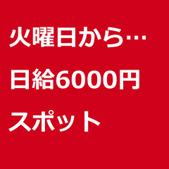 【スポット案件/急募】【日給6000円】神奈川県横浜市 / 軽貨...
