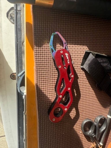 フィッシュグリップ、ルアー竿セット